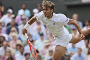 关于德约科维奇新星领先优势明显表现突出，曼联前途光明！的信息